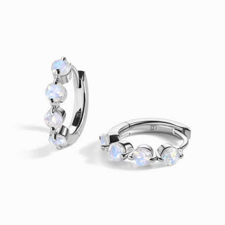 Moonstone Earrings - Equinox Hoops