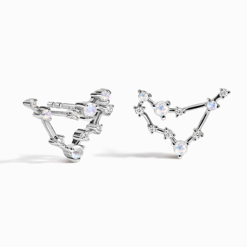 Zodiac Earring