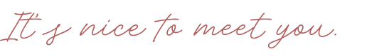 Image with cursive text 'it's nice to meet you' in a stylish font.